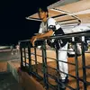 Anthony ramos03☑️ - @anthonyevaristoramos - TikTok