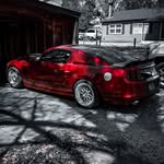 Anthony Everhart - @anthony_everhart - Instagram