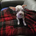 Tony Everly - @anthony.everly.98 - Instagram