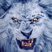 Tony Everson - Facebook