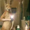 Anthony. Evora - @user5173713409508 - TikTok