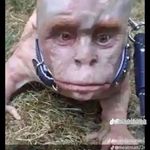 Anthony Ezzo - @itz._.ace27 - Instagram