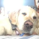 Anthony Facchini - @anferknee_360 - Instagram