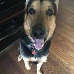 Anthony Facchini - @hgdrjvdtyjb - Instagram