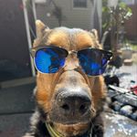 Anthony facchini - @anthony_facchini - Instagram