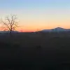 Anthony falls - @ant1541 - TikTok