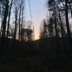 Anthony Falls Jr. - Facebook