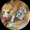 ANTHONY FERLAND - @anthony.ferland5 - TikTok