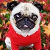 Anthony Ferland - @anthonyferland - TikTok