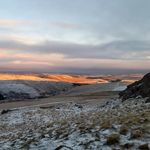 Anthony Finn - @anthony.finn.908 - Instagram