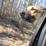 Anthony Force - @aforce73 - Instagram