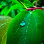 @anthony_frame_of_nature - Instagram