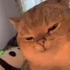 Frame Anthony - @frame.anthony - TikTok