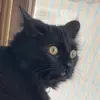 anthonygalbraith03 - @anthonylgftp - TikTok