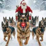 Anthony J Gallicchio - @anthonygallicchio - Instagram