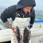 Anthony Gilberto - @anthony_gilberto - Instagram