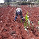anthony gitonga muchiri - @anthonygitongamuchiri - Instagram