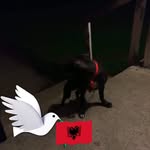 Anthony Glass - @anthony.glass.9216 - Instagram