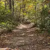 anthony_gold - @anthony_gold - TikTok