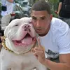 ANTHONY GRANADOS - @notoriousbrooklynkennel - TikTok