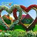 Anthony Gregg - Facebook