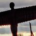 Anthony Gregg - Facebook