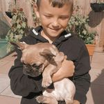 Anthony gregg - @anthonygregg18 - Instagram