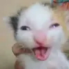 Anthony HACKNEY - @anthony.hackney0 - TikTok
