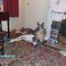 Anthony Hadley - Facebook