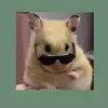 Hailey Anthony - @hailey.anthony1 - TikTok