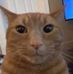 Anthony Hallam - Facebook