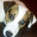 anthony hallam - @anthonyhallam - Instagram