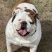 John Anthony Hallman - Facebook
