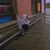 Charliedog - @anthony._.haluska - TikTok