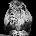 Anthony Hamby - @anthonyhamby - Instagram