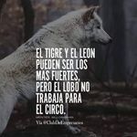Cesar N - @anthony.hammer.12935 - Instagram