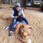 Anthony Hanevy - @anthonyhanevy - Instagram