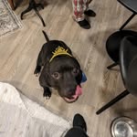 Anthony Haney - @anthony.haney.7 - Instagram