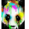 anthony.hanley - @bs_boys0 - TikTok
