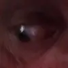 anthonyharbert43 - @anthonyharbert43 - TikTok