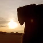 Anthony Harder - @2034harder - Instagram