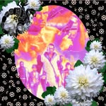 Anthony Harding - @harding5673 - Instagram