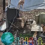 Anthony Harding - @harding6223 - Instagram