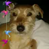 Anthony Harding - @anthonyharding12 - TikTok