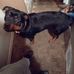 Anthony Hayward - Facebook