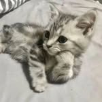 Harry Anthony Heaton - @harryanthonyheaton - Instagram