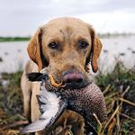 Anthony Heller - @anthheller_ - Instagram