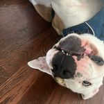 anthony heller - @_anthonyheller - Instagram