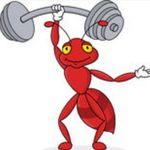 AntFit 🐜 - @anthonyhennessy4 - Instagram