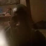 Anthony Hightower - @ahightowera650 - Instagram